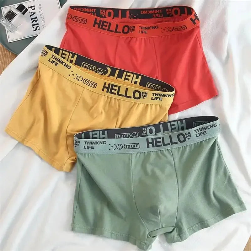 5-10Pieces/ Men's Underwear Men Pure Cotton Underpants Men Brand Panties Shorts Breathable Shorts Comfortable Soft Plus Size